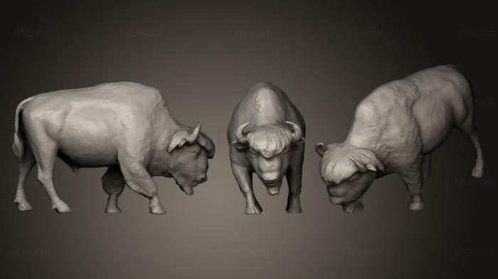 Статуэтки животных Американский буйвол